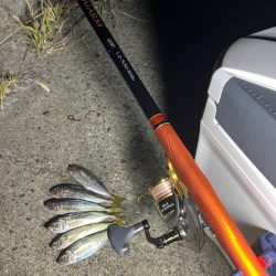 夕まずめ釣行