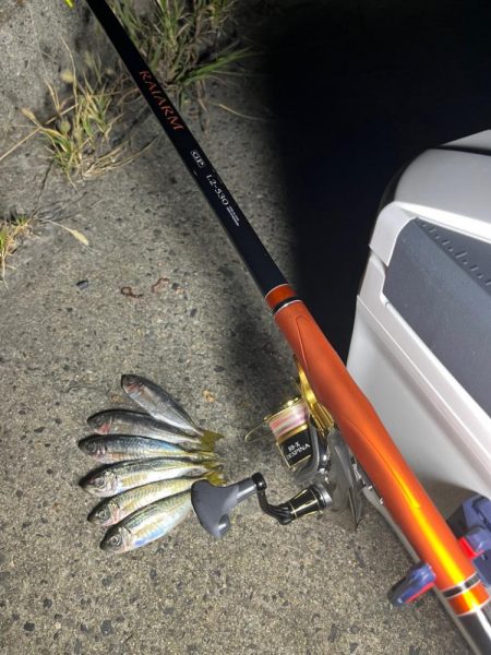 夕まずめ釣行