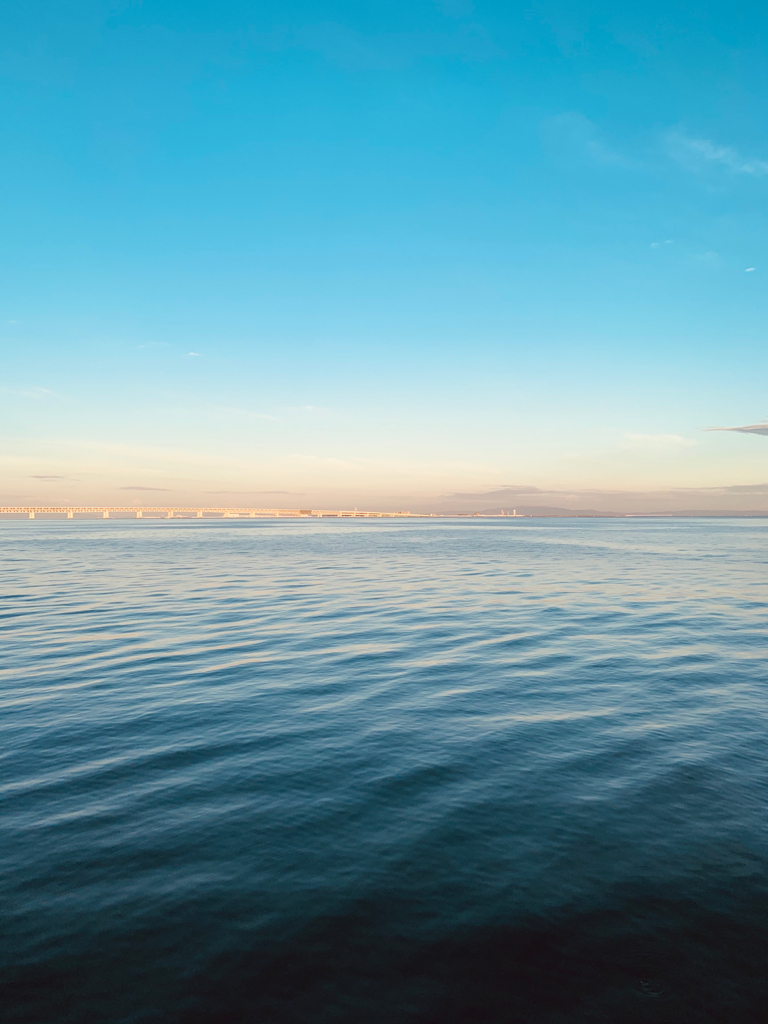 コルトスナイパーBBに鱗付け