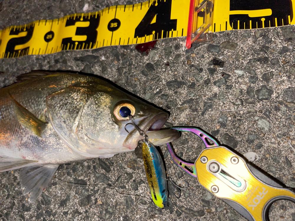 再現性を求めて