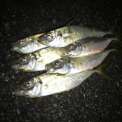 台風接近前夜💨