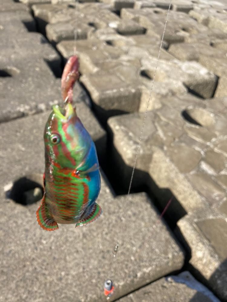 西伊豆まできて。。。