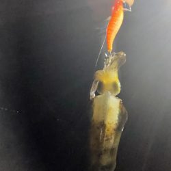 仕事終わりにのんびり！