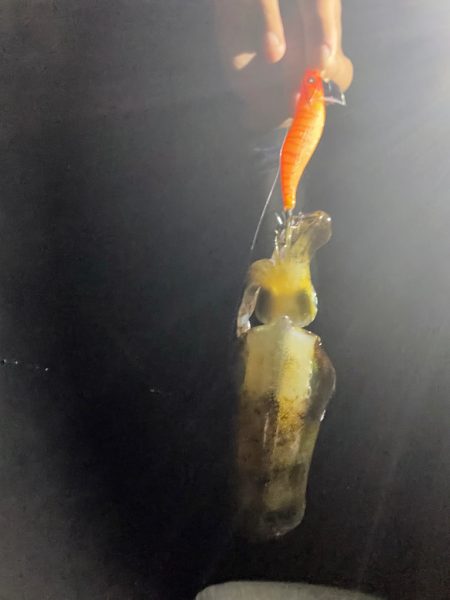 仕事終わりにのんびり！