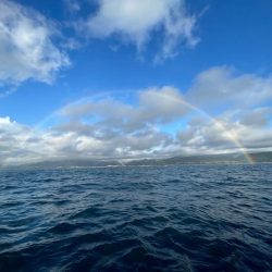 短時間オフショアでシオ6匹