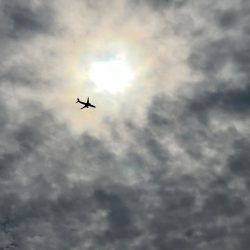 湾奥、サワラ調査