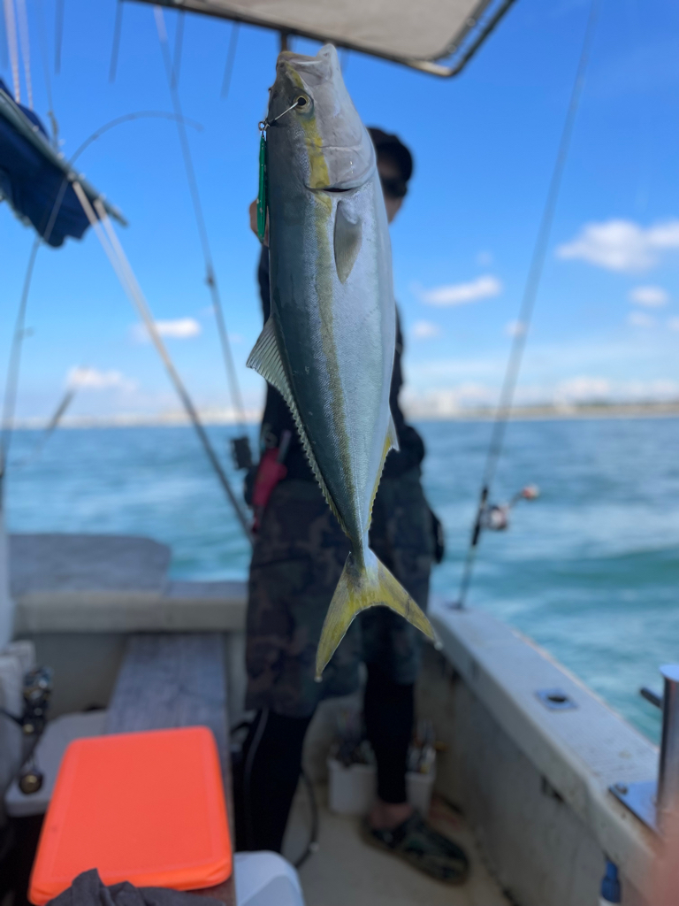 明石沖激流ジギング