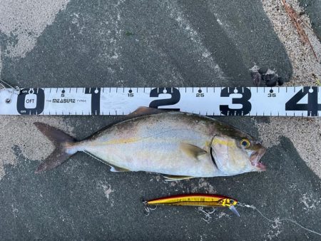 台風明けサーフ