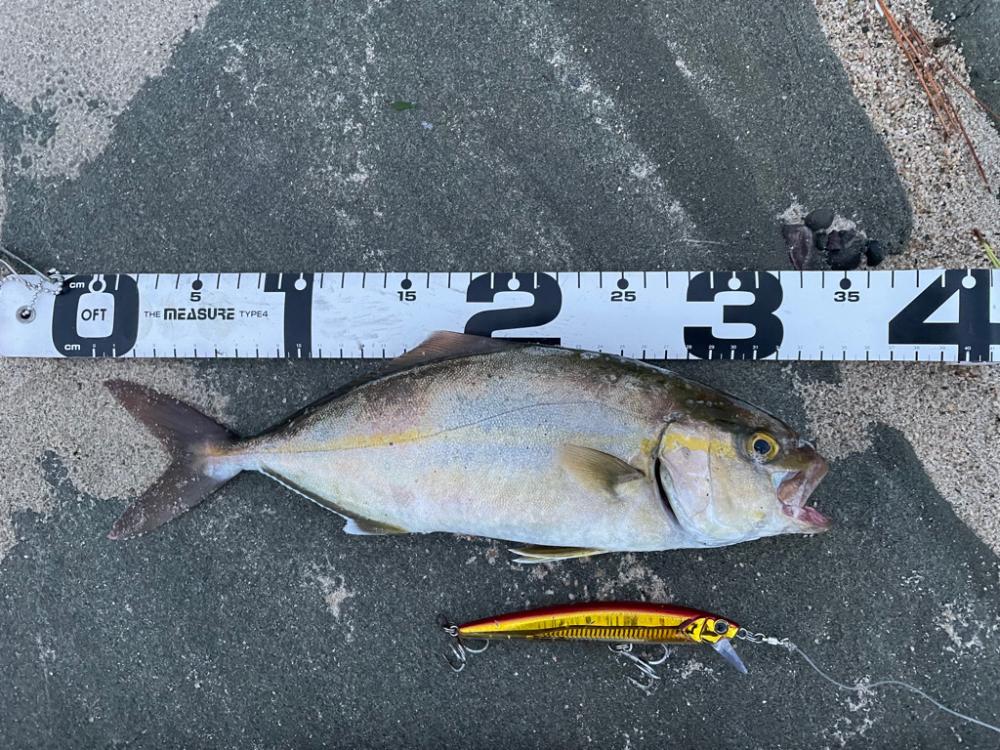 台風明けサーフ