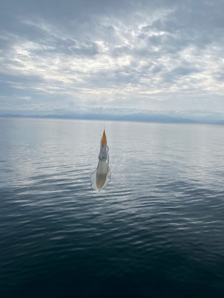 雨は昼からじゃなかった？