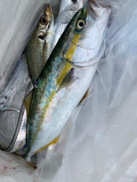台風一過の状況…
