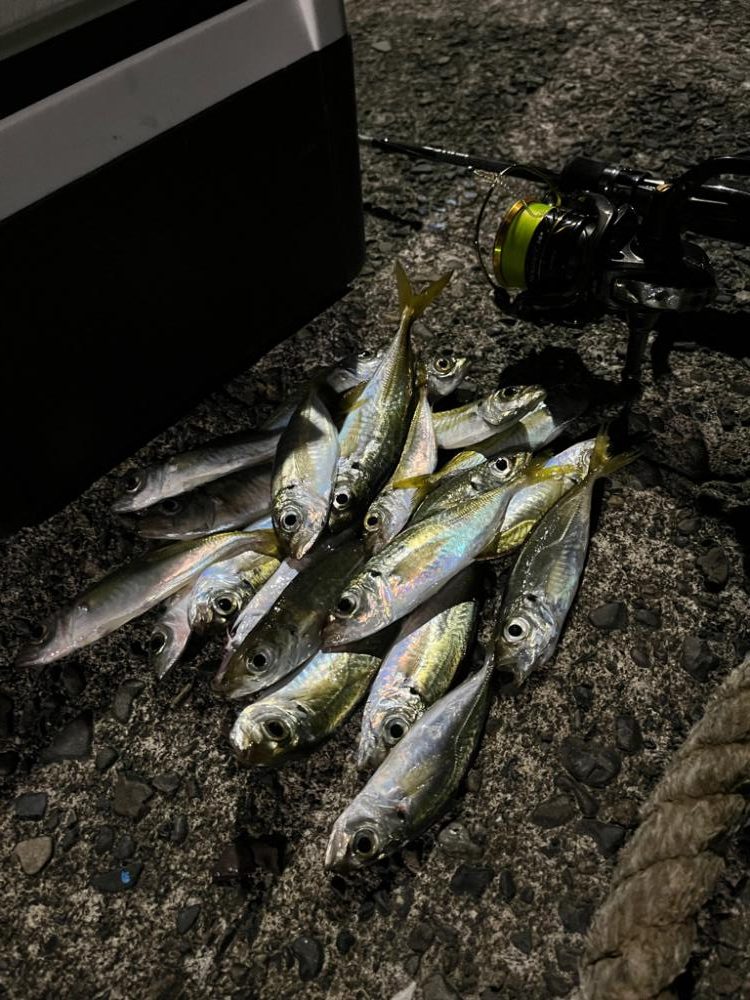 オールナイトアジング