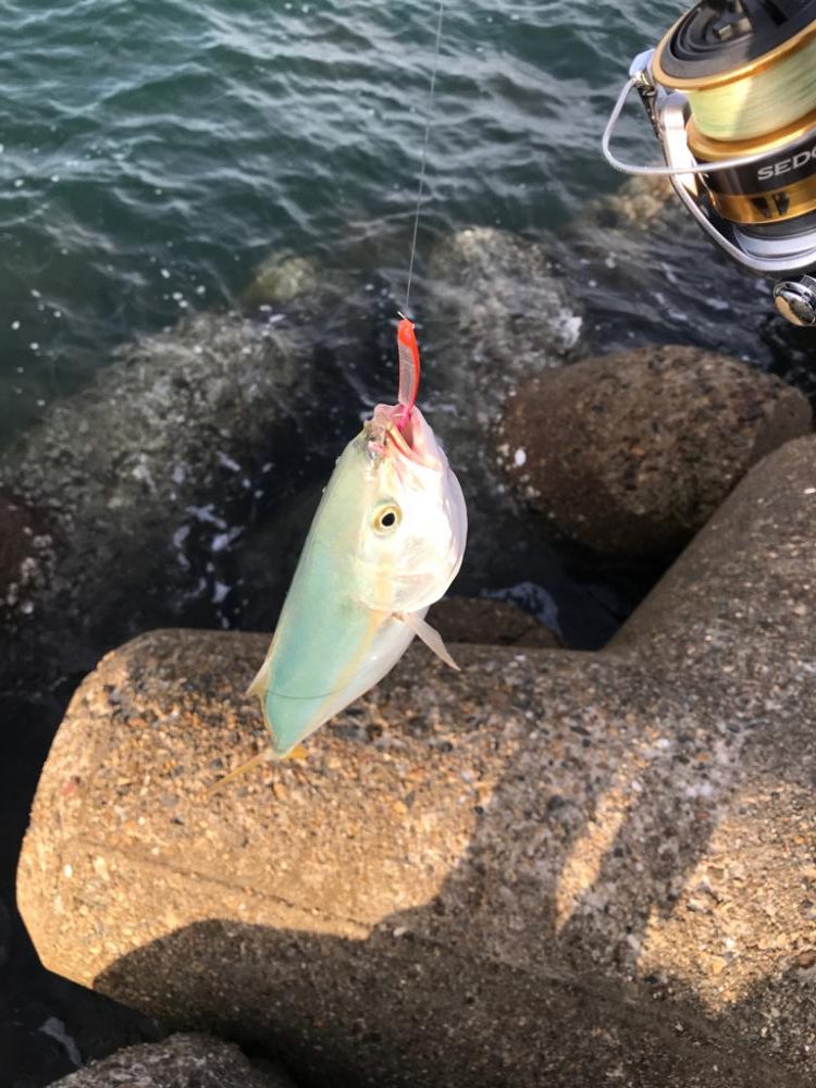 マイクロベイトパターン