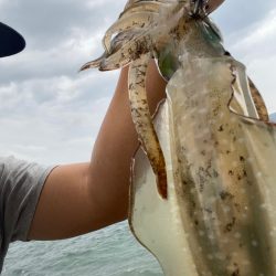 台風前の短期間エギング
