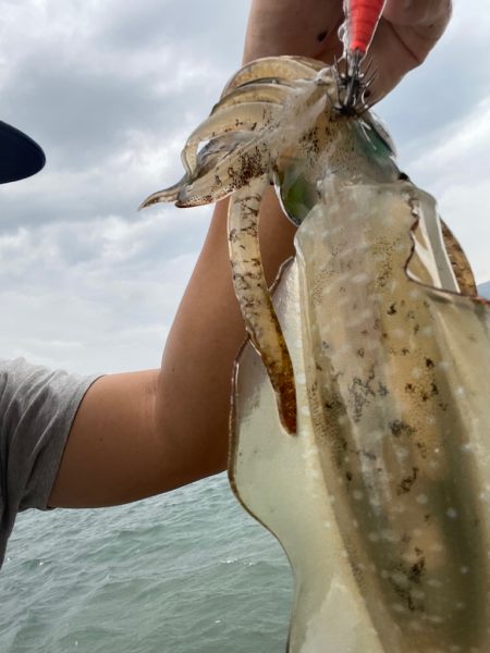 台風前の短期間エギング