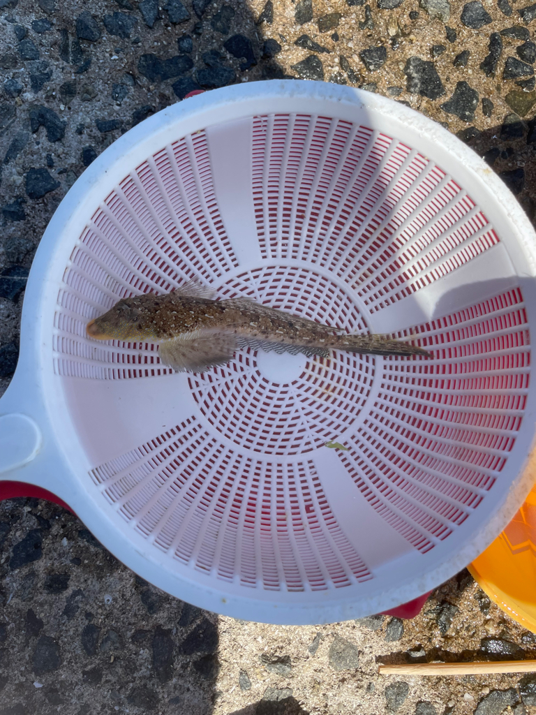 引き釣り出来なくて……
