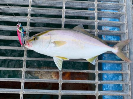 爆風の中の釣り