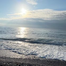 状況が読めない時はこのジグが強い