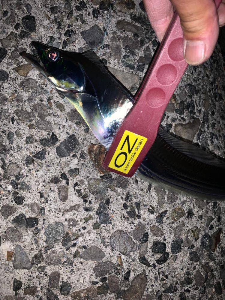 今季、初タチ！