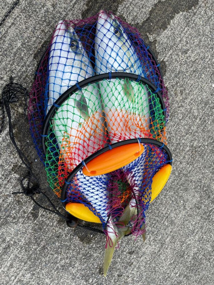 ショアジギング