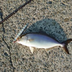 ショアジギング