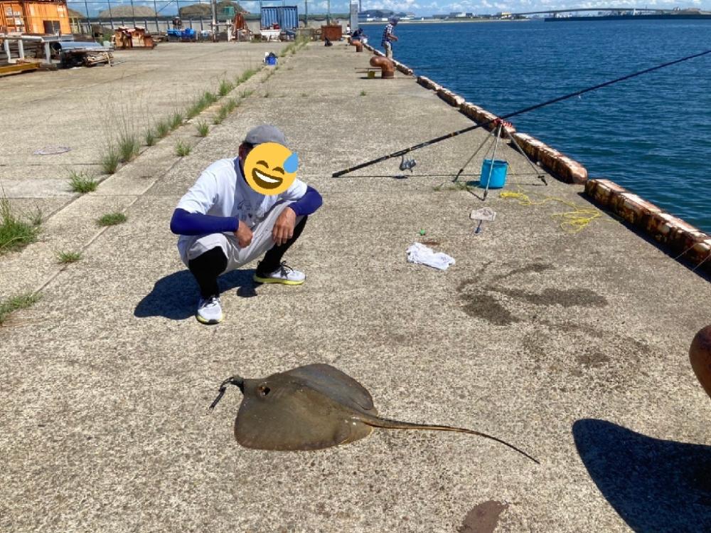 サビキで豆アジ爆釣