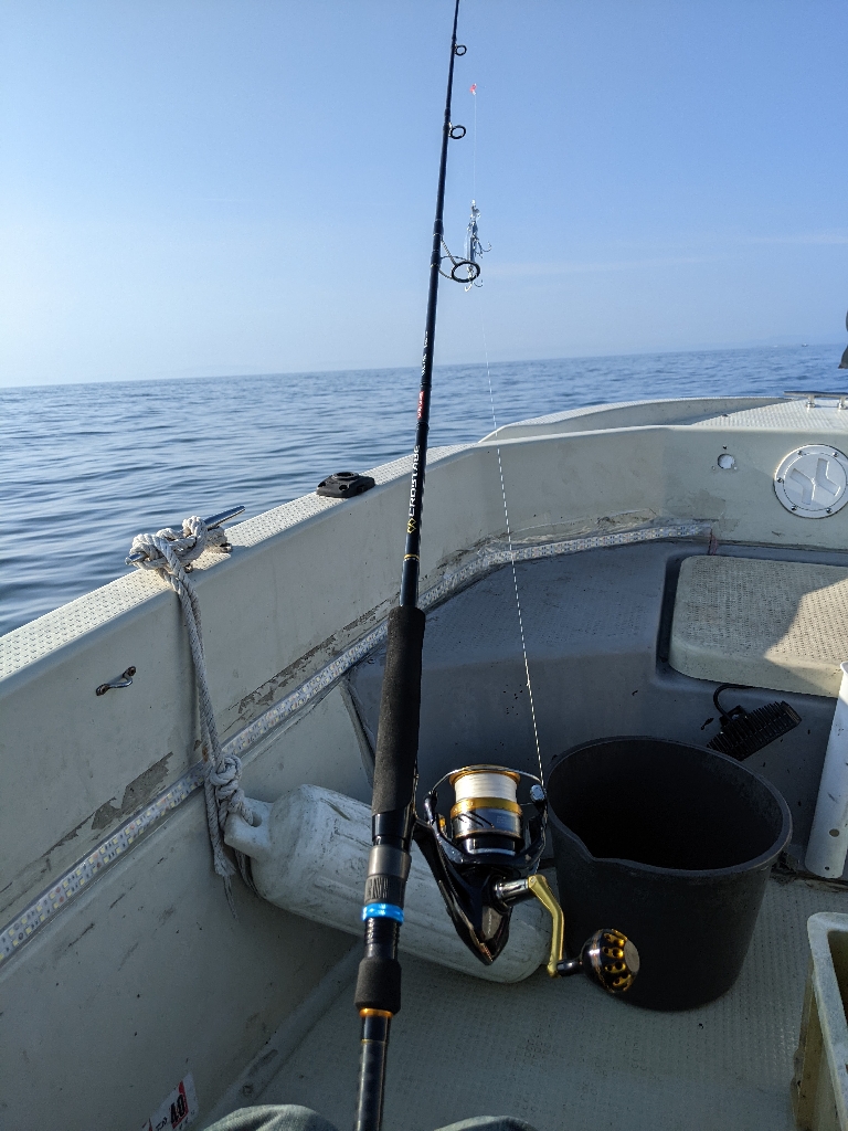 ボートキャスティング