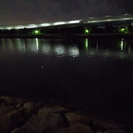 夜のエビ撒き釣り