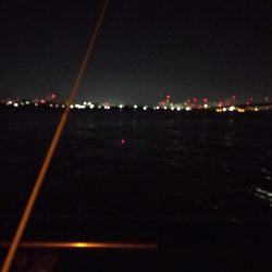 朝練で大サバ、ハマチ