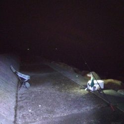 苅屋海岸のキス釣り