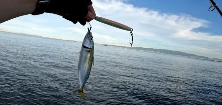 仕事前ショアジギ