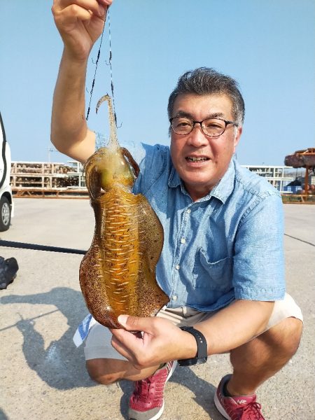 アオリイカ　自己新記録😄