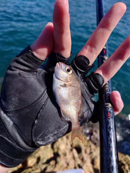 まだまだ夏の磯