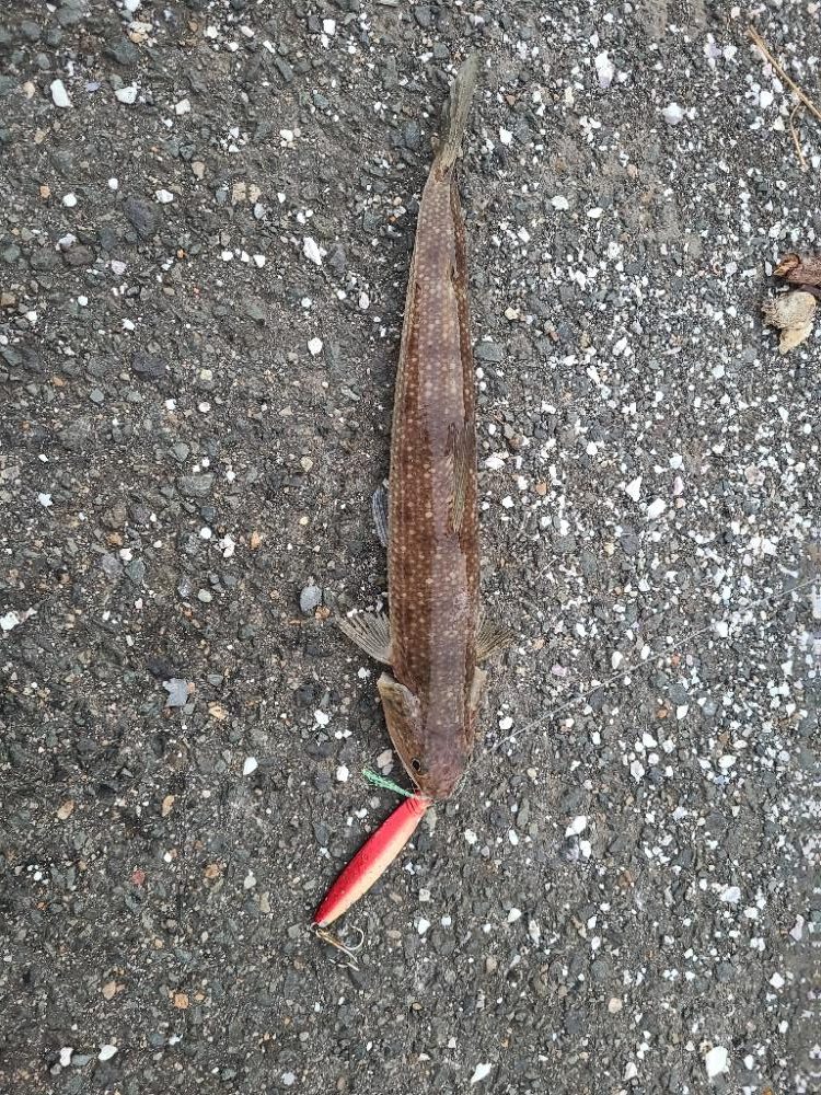 直撃前の直撃！