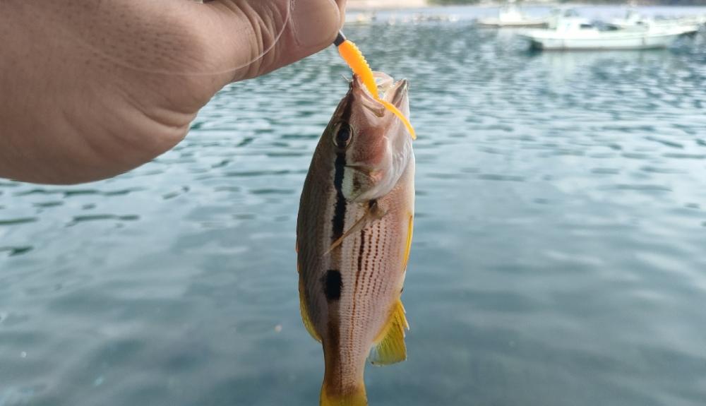 台風から逃げて福井遠征