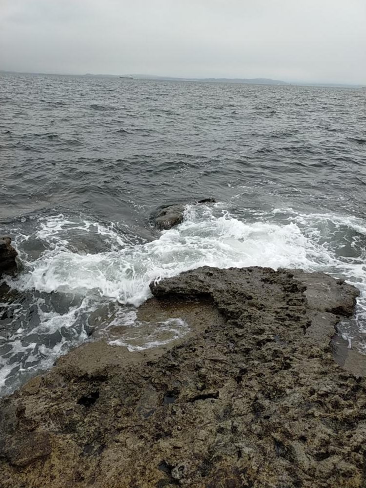 少しずつサイズアップ?