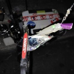 サーベリング@マリーナシティ