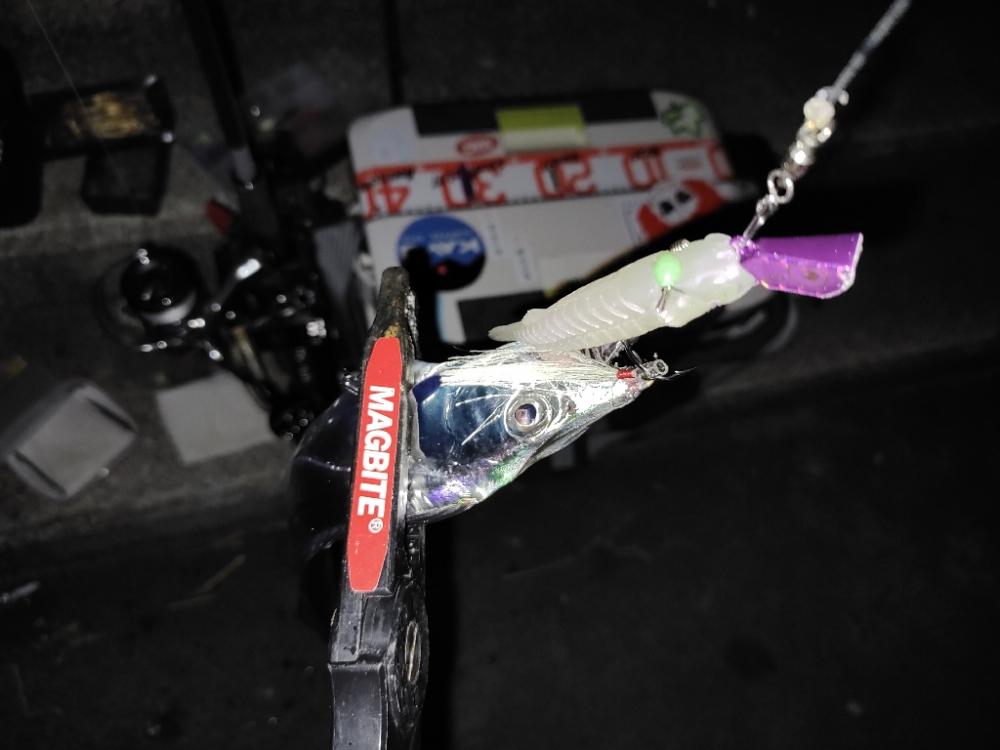 サーベリング@マリーナシティ