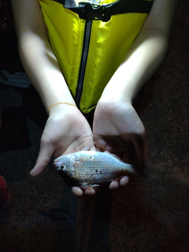 秋の夜の家族サービス