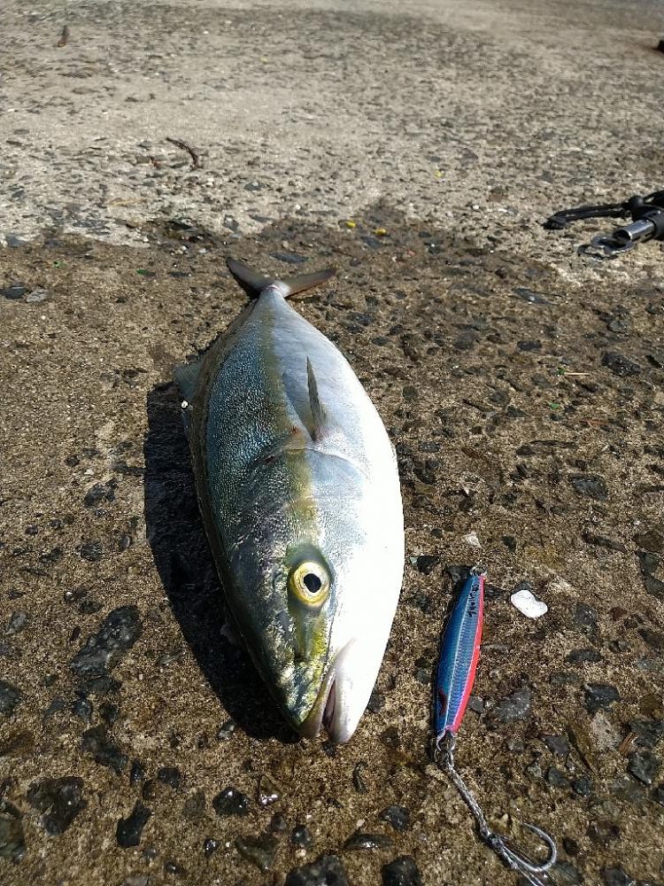 武庫川1文字でショアジギング