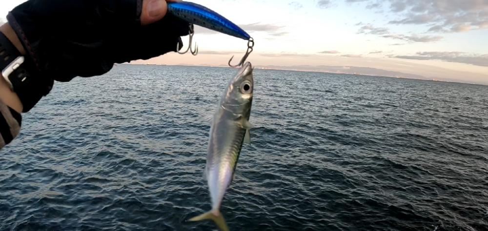 サイズアップならず(>_<)