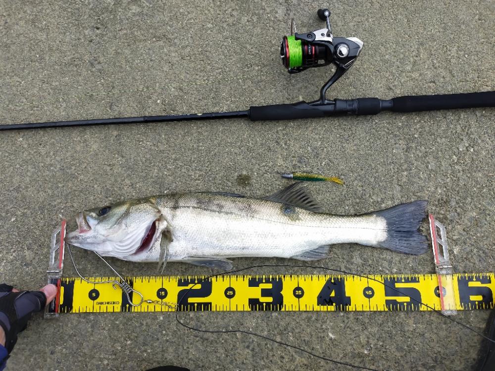 コアマンの夏デイゲーム!