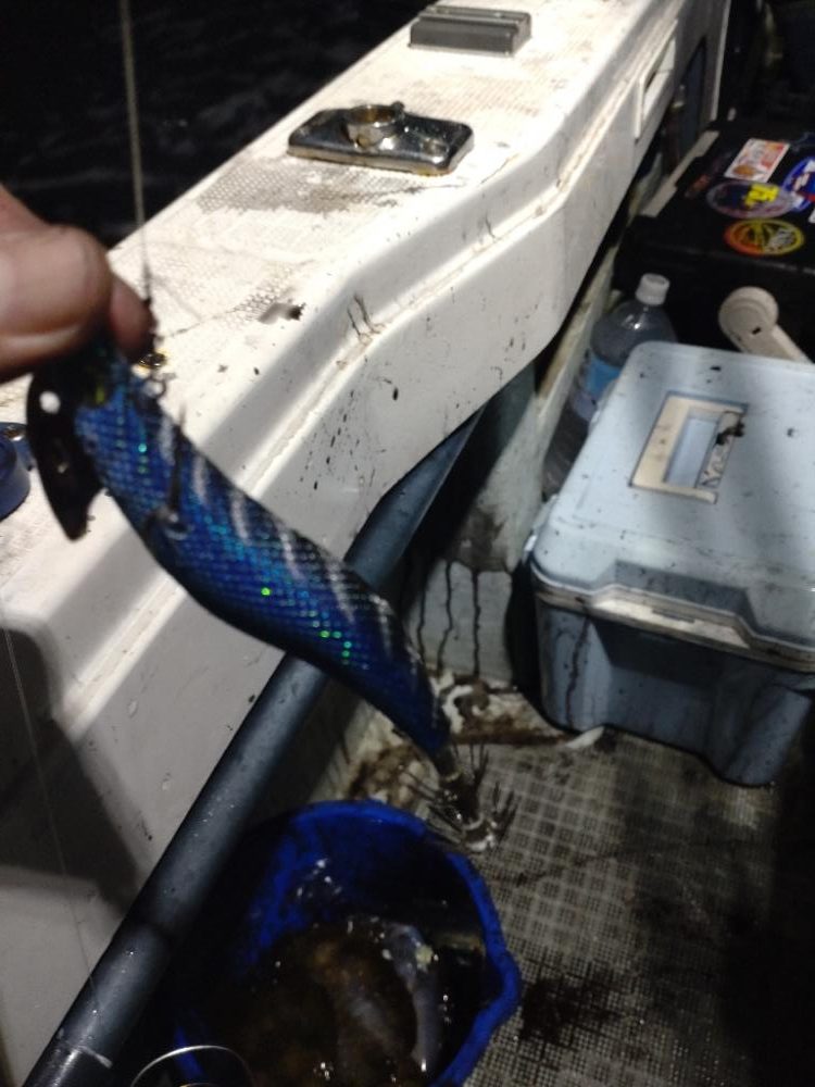 ティップラン2回目!