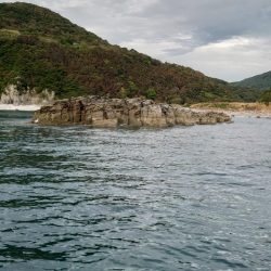 クロ釣り(畝刈)