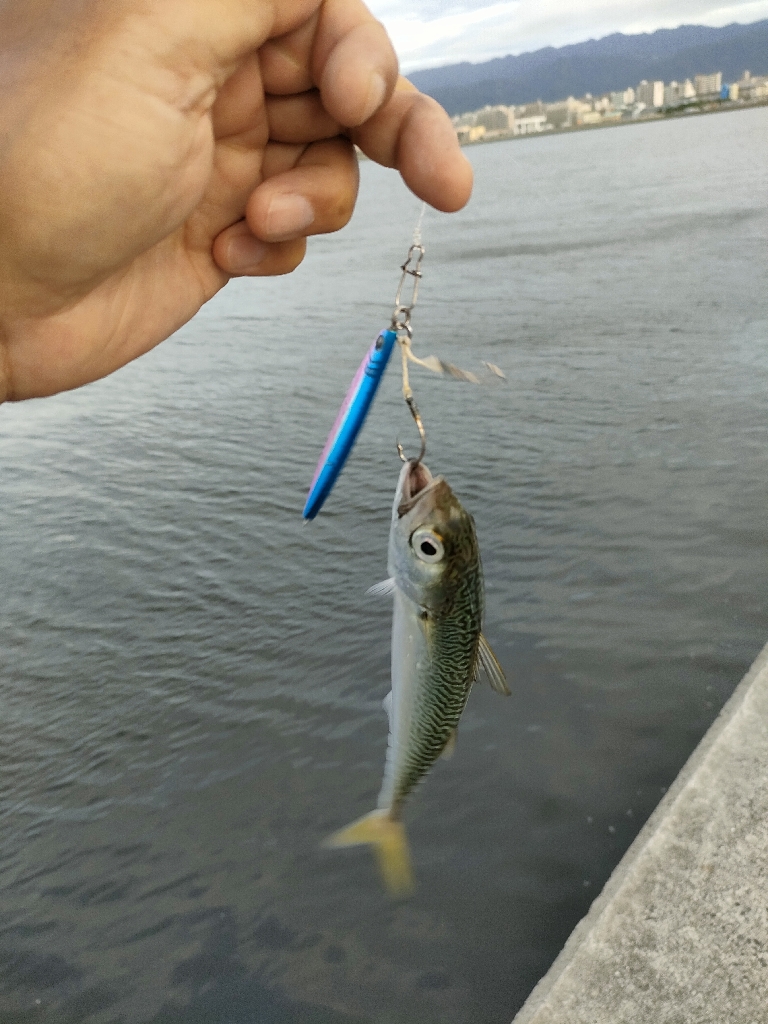 西宮ケーソン サバ祭