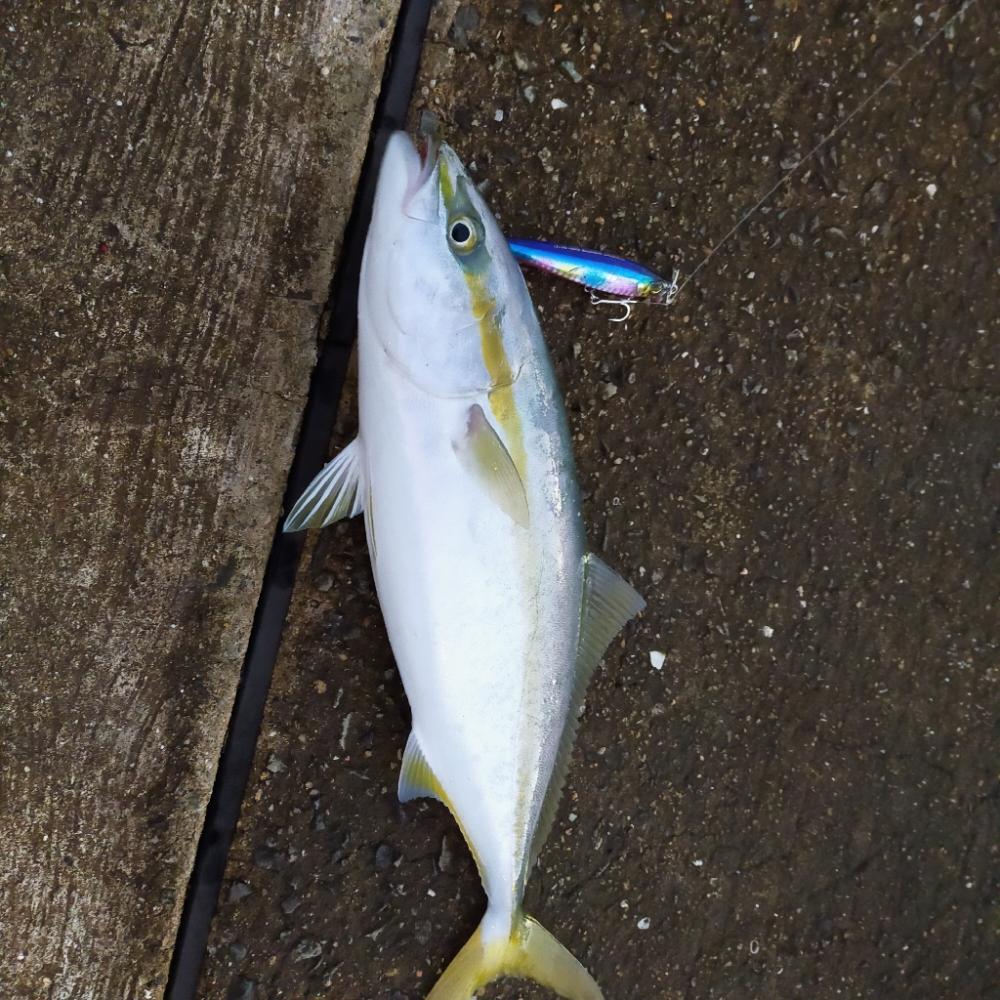 秋シーズン、朝練開始