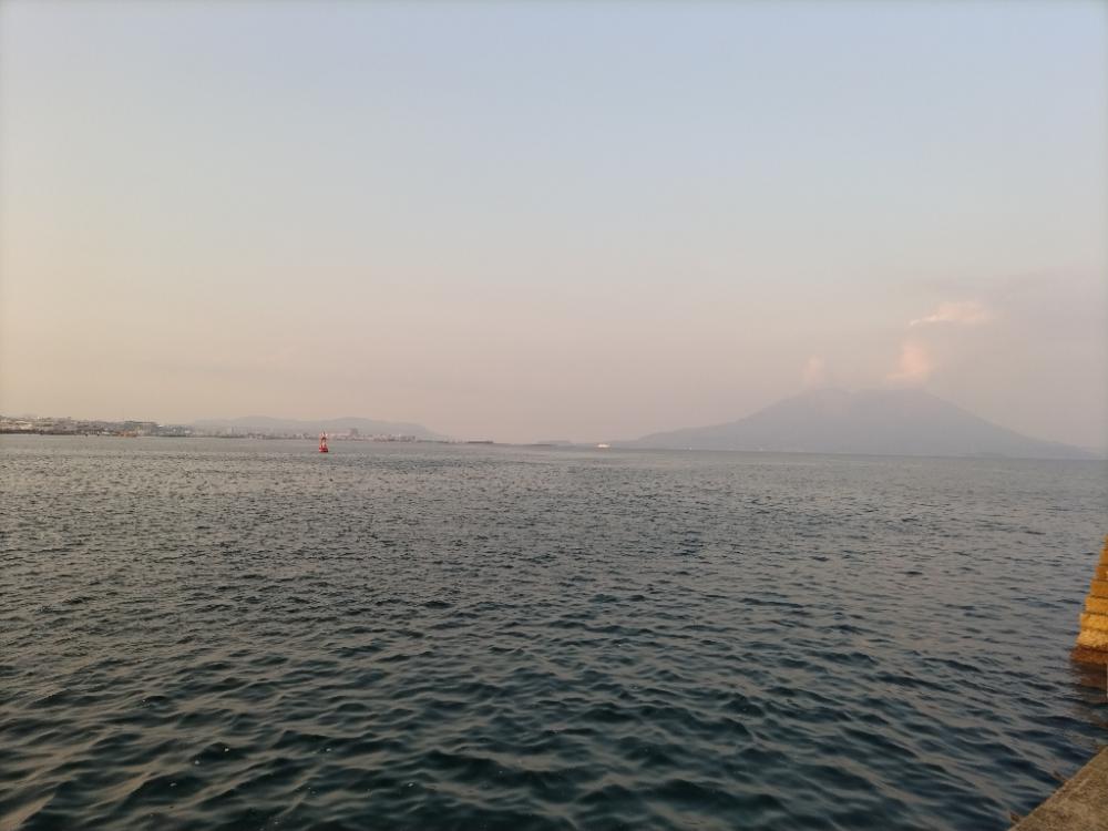 カマスとフグが釣れました。