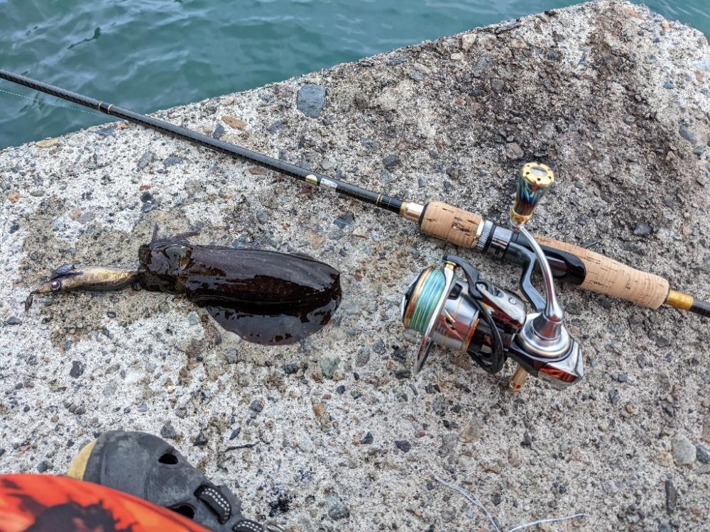 ウネリ爆風ババ濁りで9杯