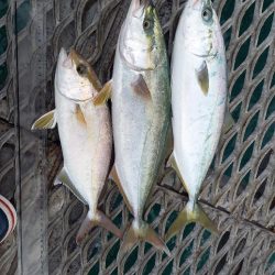 とっとパークで飲ませ釣り