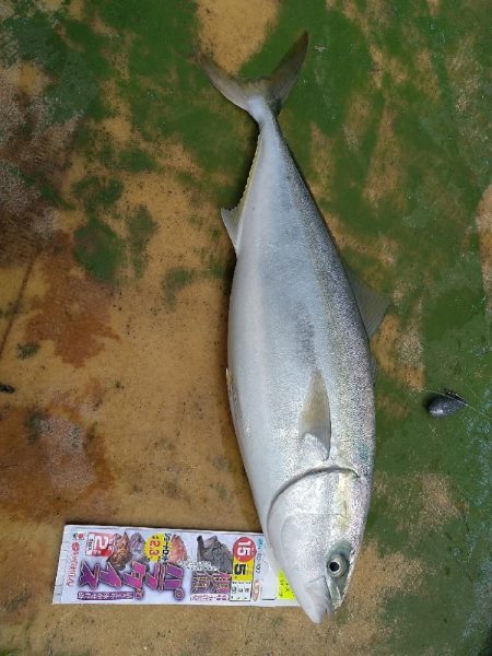 久しぶりのカセ釣り☆
